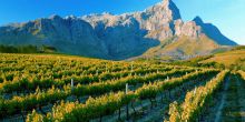 Grande Roche, Paarl, South Africa