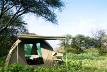 Green season- Planet Baobab, Kalahari Desert, Botswana