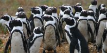 Grootbos Private Nature Reserve, Hermanus, South Africa