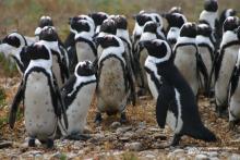 Grootbos Private Nature Reserve, Hermanus, South Africa