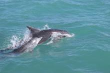 Grootbos Private Nature Reserve, Hermanus, South Africa