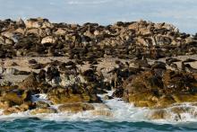 Grootbos Private Nature Reserve, Hermanus, South Africa