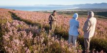 Grootbos Walks in the fynbos