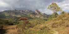 Explore the Bale Mountains, Ethiopia