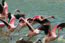 Hatari Lodge, Arusha National Park, Tanzania