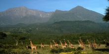 Hatari Lodge, Arusha National Park, Tanzania