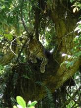 Hatari Lodge, Arusha National Park, Tanzania