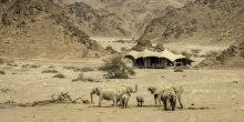 Hoanib Camp tent exterior with elephants