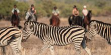 Mashatu Lodge, Mashatu Game Reserve, Botswana