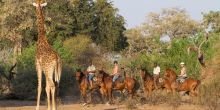 Mashatu Lodge, Mashatu Game Reserve, Botswana