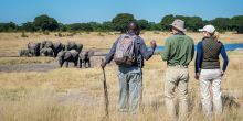 Little Makalolo, Hwange National Park, Zimbabwe