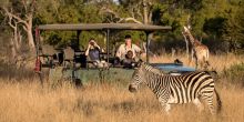 Little Makalolo, Hwange National Park, Zimbabwe