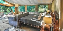 Il Moran Luxury Tent