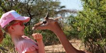 Gilbey the Gerenuk was a highlight