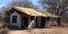 Guest tent at Kwihala Camp