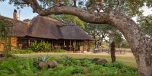 Thornybush Jackalberry Lodge