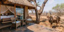 Thornybush Jackalberry Lodge