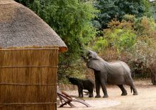 Kaingo Camp, South Luangwa National Park, Zambia