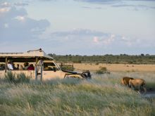 Kalahari Plains Camp, Central Kalahari Game Reserve, Bostwana