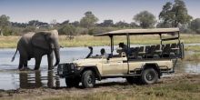 Khwai Bush Camp Game Drive