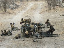 Kiba Point, Selous National Park, Tanzania