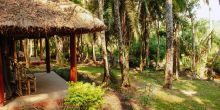 Kibale Forest Camp Exterior