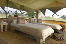 Kicheche Bush Camp, Masai Mara National Reserve, Kenya