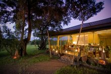 Kicheche Mara Camp, Masai Mara National Reserve, Kenya