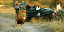 King's Camp, Timbavati Nature Reserve, South Africa