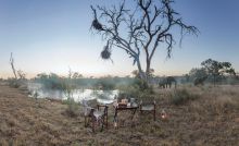 King's Camp, Timbavati Nature Reserve, South Africa