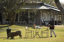 Kirkmans Kamp, Timbavati Nature Reserve, South Africa Â© AndBeyond