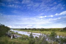 Kirkmans Kamp, Timbavati Nature Reserve, South Africa Â© AndBeyond