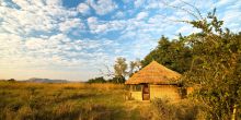 Kuyenda Bush Camp, South Luangwa National Park, Zambia