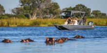 Boating with hippos