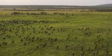 Mwiba Lodge, Serengeti National Park, Tanzania