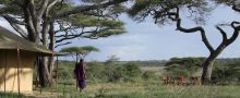 Lemala Ndutu Safari Camp, Serengeti National Park, Tanzania