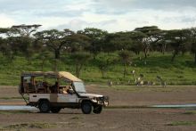 Lemala Ndutu Safari Camp, Serengeti National Park, Tanzania