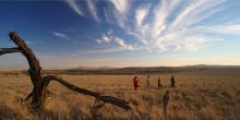 Lewa Safari Camp, Lewa Conservancy, Kenya