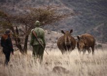 Lewa Safari Camp, Lewa Conservancy, Kenya