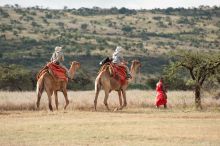 Camel-back trekking at Lewa Wilderness Trails, Lewa Conservancy, Kenya