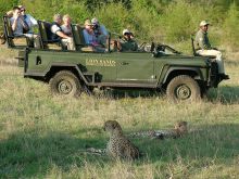 Lion Sands Ivory Lodge, Sabi Sands Game Reserve, South Africa