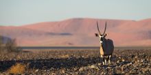 Little Kulala, Sossusvlei, Namibia