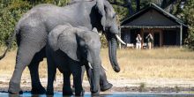 Little Makalolo, Hwange National Park, Zimbabwe