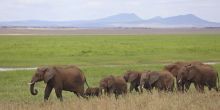 Little Oliver's Camp, Tarangire National Park, Tanzania