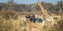 Little Tubu Tree Camp, Okavango Delta, Botswana