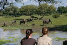 Luangwa Safari House, South Luangwa National Park, Zambia