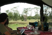 Lunch with the elephants- Ol Pejeta Bush Camp, Ol Pejeta Reserve, Kenya