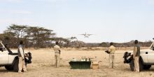 Kusini Camp, Serengeti National Park, Tanzania