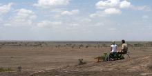 Kusini Camp, Serengeti National Park, Tanzania