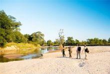 Nature walk at Nsolo Bush Camp, South Luangwa National Park, Zambia